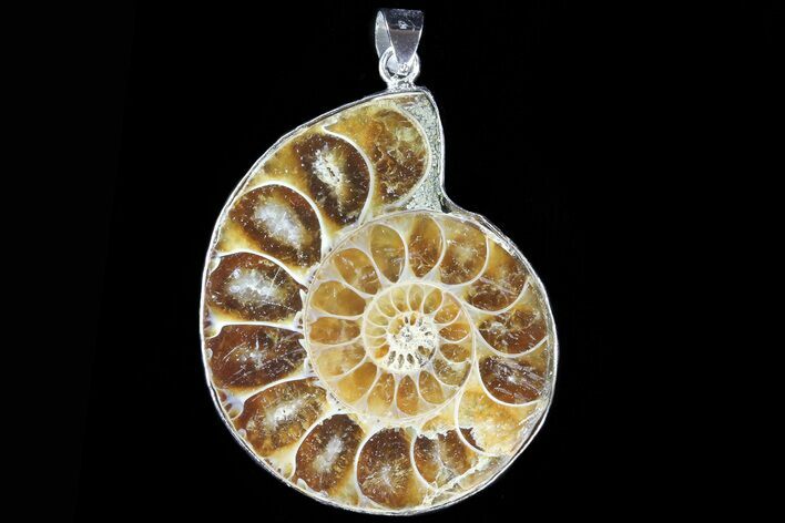 Fossil Ammonite Pendant - Million Years Old #83162